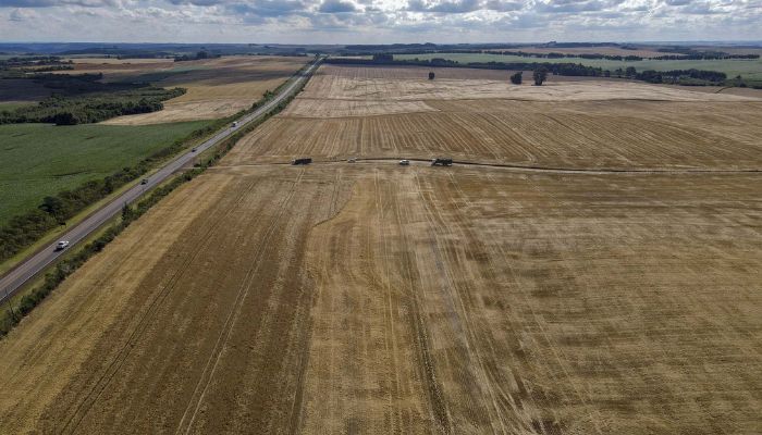 Com 46,8 milhões de toneladas, Paraná teve maior safra de grãos de sua história em 24/25